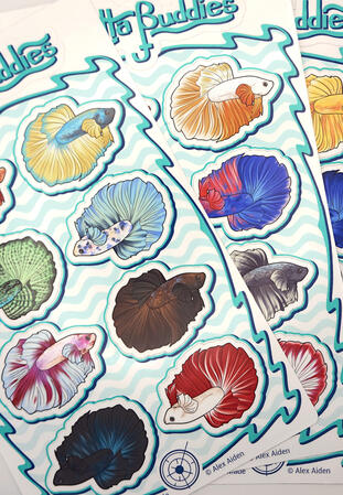 Betta Stickers Betta Stickers